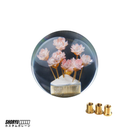 Pommeau de vitesse JDM "Boule de Cristal" 54mm