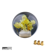 Pommeau de vitesse JDM "Boule de Cristal" 54mm